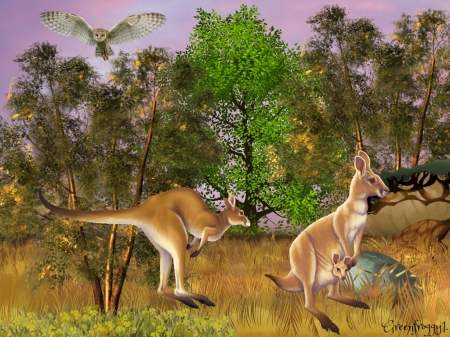 IN THE BUSH - creation, owl, trees, kangaroos