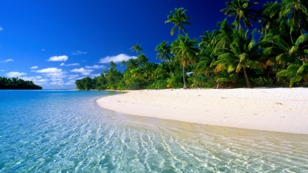 Paradise Island - Island, trees, water, beach, ocean, sand, Paradise