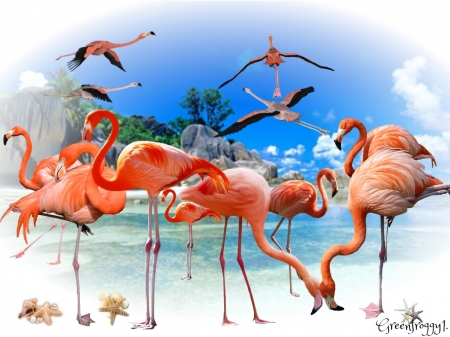 FLAMINGO ISLANDS - island, creation, art, birds