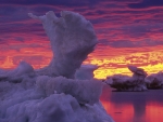 Ice Flowers on Hudson Bay, Churchill, Manitoba