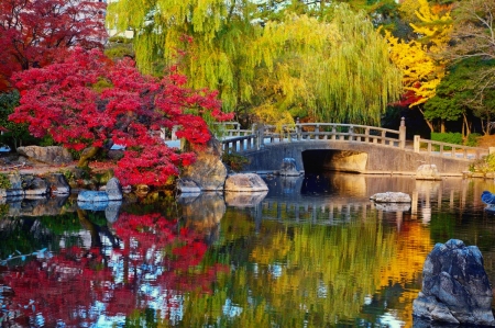 Autumn in the park - autumn, lake, trees, peaceful, park, willow, serenity, fall, reflection, tranquil, mirror, beautiful, colors, bridge, garden, pond