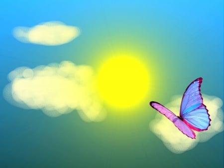 Summer butterfly - cloud, abstract, butterrfly, sun