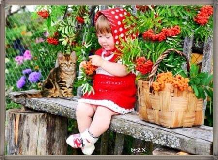 Girl with cat - girl, bascet, cat, fruktis