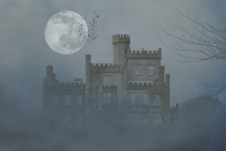 Moonlight - moon, night, fantasy, mist, white, halloween, full, castle, blue, luna