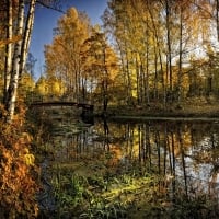 Autumn Reflections