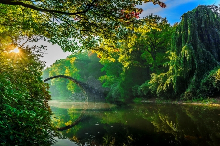 Forest bridge - greenery, sunlight, trees, branches, summer, tranquil, sunshine, morning, forest, reflection, glow, river, rays, serenity, lake, bridge