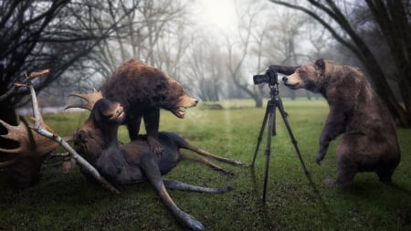 Say Cheese - humour, dogs, animals, funny