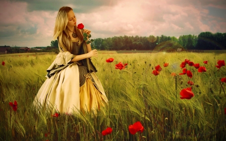 Girl in the field - girl, beautiful, field, flowers, meadow, lovely, poppies, rose