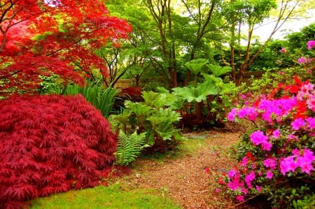 Garden - nature, tree, garden, flower