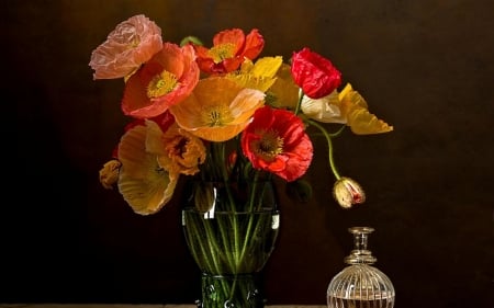 FLOWERS - vase, stems, petals, colors