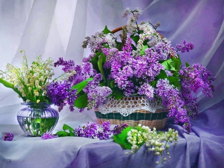 Lovely lilacs - flowers, lilacs, purple, lily of the valley