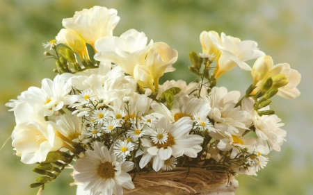 FLOWERS - leaves, basket, petals, colors