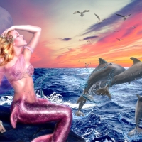 Mermaid and Dolphins