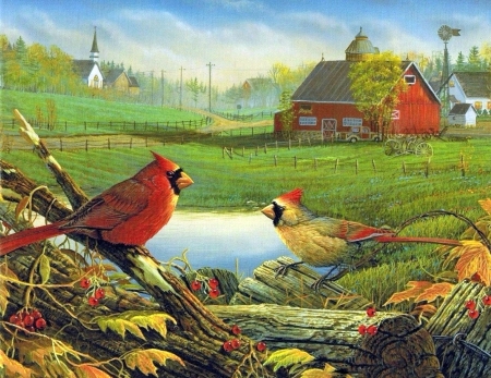 Farmland Visitors - fields, attractions in dreams, autumn, nature, cardinals, love four seasons, leaves, paintings, colors, farms, birds, fall season