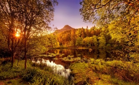 Autumn scenery - autumn, trees, peaceful, colorful, fall, reflection, golden, branches, rays, lake, sunlight, mountain, serenity, glow, forest, tranquil, scenery