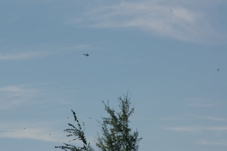 Helicopter and Birds in Flight, Teton Valley, Idaho - scenic, transportation, skies, mountains, flight, birds