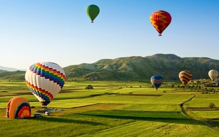 hot air balloons - balloons, field, hot, air