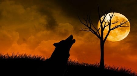 Howling - painting, wolfs, cute, animals