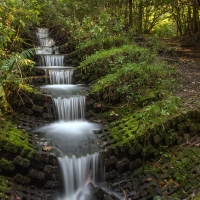 Whelley Waterfall, England