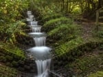 Whelley Waterfall, England