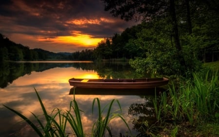 sunset at a lake - lake, forest, cool, fun, sunset, nature