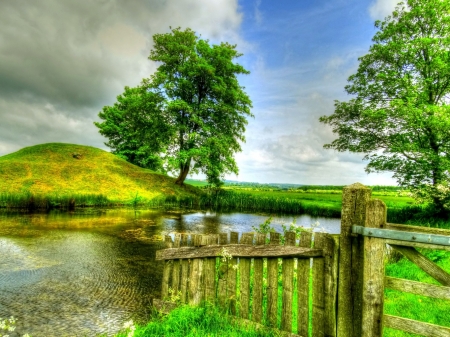 Summer pond - landscape, nature, pond, tree