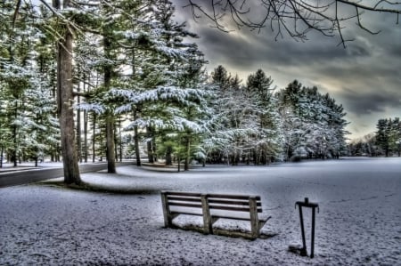 Winter park - winter, park, tree, snow