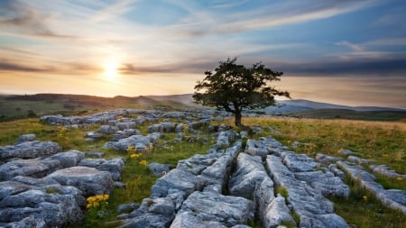 Beautiful Scenery - nature, sky, tree, landscape