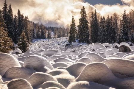 Winter - snow, landscape, winter, season