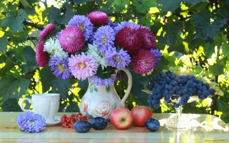 in the garden - grapes, apples, garden, asters, still life