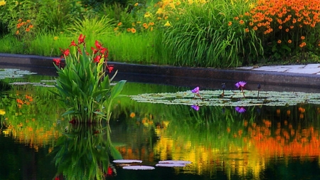 Mystical Pond - magical, pond, mystical, autumn