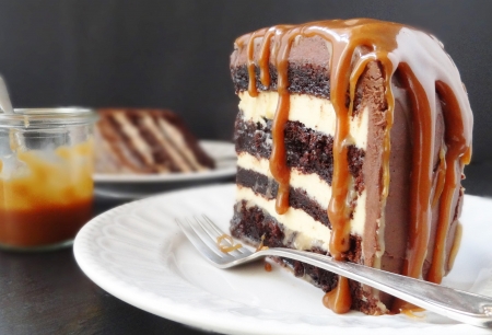 chocolate cake - fun, entertainment, yummy, cool, foods, chocolate cake