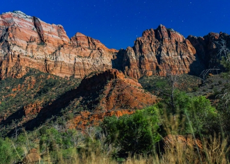 Zion National Park - forest, mountains, cool, zion national park, fun, nature