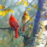 Cardinals & Birch