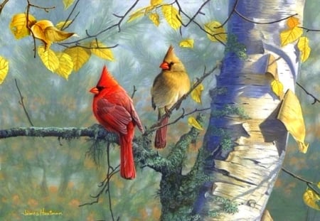 Cardinals & Birch - autumn, forests, animals, cardinals, love four seasons, leaves, birch, paintings, colors, birds, fall season