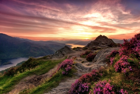 Park Scenery in Scotland - nature, sky, field, meadow