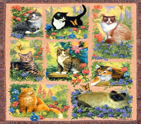 Here Kitty - pets, collage, kittens, cats