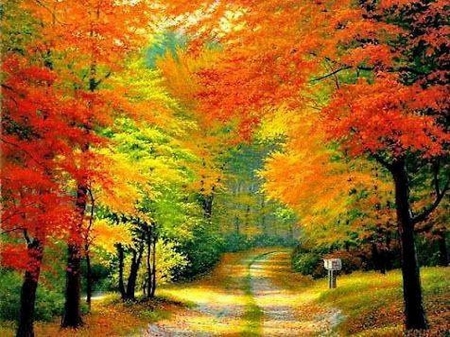 Autumn walk - path, trees, colors, autumn