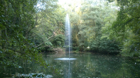 Fountain in a Duck Pond - Photograph, Leaf, Nature, Forrest, Photography, Outside, Park, Water, Summer, Fountain, Green, Photo, Daytime, Morning, Trees, Leaves, Tree, Sunny, Woods, Summertime, Leafs, Pond, Wood, Day, Snapshot