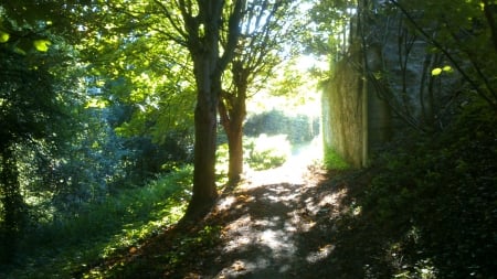 Sunshined Park Path - Photograph, Sunshine, Leaf, Sunray, Nature, Forrest, Photography, Outside, Park, City Wall, Summer, Photo, Daytime, Sunny Morning, Morning, Trees, Leaves, Tree, Sunny, Woods, Summertime, Leafs, Wall, Path, Wood, Day, Snapshot