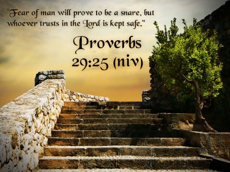 Proverbs 29 : 25 - stairway, stone, bible verse, trees