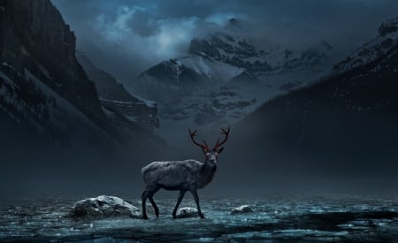 Red Eye - animal, mountain, deer, eyes