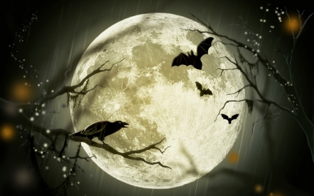 Happy Halloween! - moon, bird, bat, raven, silhouette, black, fantasy, crow, halloween, luminos, luna