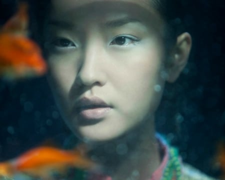 Beauty - face, beauty, model, fish, aquarium, girl, asian, woman