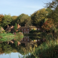 Winchester water meadows 2