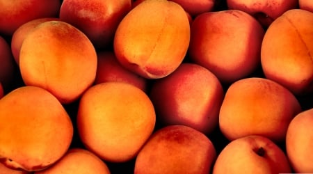 Ripe Apricots - wide screen, beautiful, photo, photography, apricots