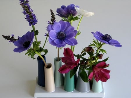 ANEMONES - flowers, vases, still life, colors