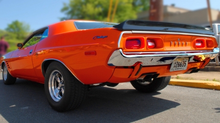 Dodge Challenger - muscle car, car, vintage, classic, auto, Challenger, Dodge