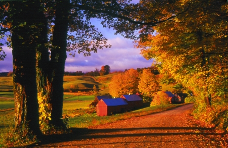 Farm in Vermont - house, trees, season, autumn, colors, leaves