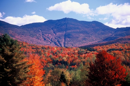 Fall Foliage in Vermont - sky, landscape, trees, clouds, leaves, colors